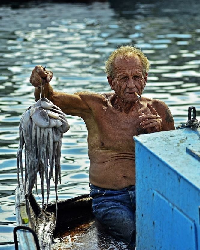 cfe798ca9bb2a3d0ec6ba25fb2e50ecc